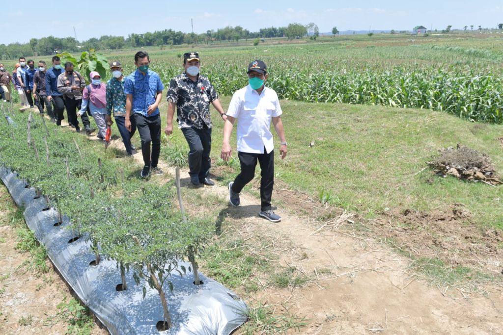 Blusukan ke Sejumlah Desa di Blora, Gus Menteri Tinjau Potensi BUMDes dan BUMDes&nbsp;Bersama